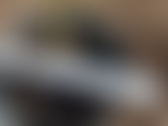 Nursery pot of Magnolia 'Genie' with bark mulch and a plant tag listing variety and origin information.