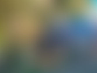 Detailed view of a Gardena-style hose connector showing signs of freezing and cold weather exposure.