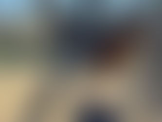 European Robin balancing on a worn fence post, its feathers catching sunlight, with a background of blurred trees and wire fencing.