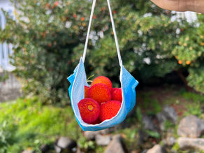 Close-up of bright red strawberry tree berries collected in an improvised mask pouch outdoors.