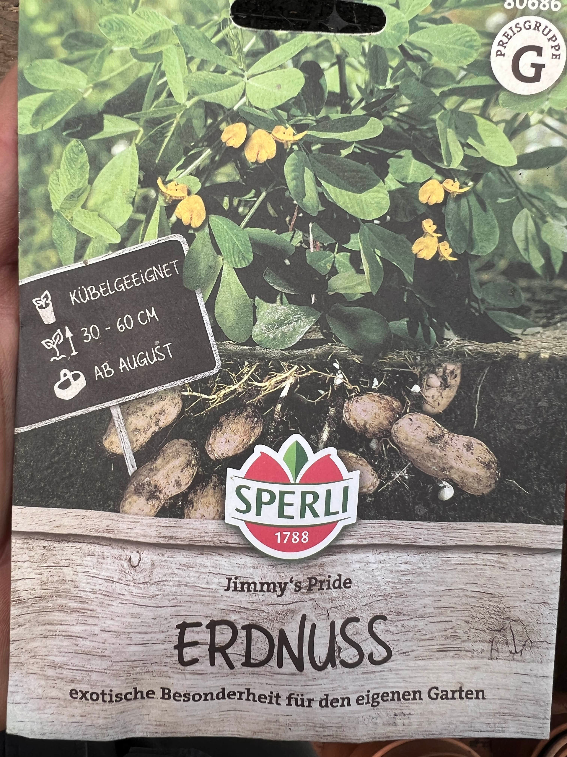 Front of the ‘Jimmy’s Pride’ peanut seed packet shows green foliage, yellow flowers, and peanuts developing underground.