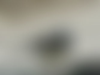 Close-up of a Great Tit perched on a concrete surface, showing its black head, white cheeks, and yellow belly.