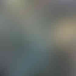 A mid-sized Agave americana ‘Marginata’ with sharp, upright variegated leaves, accompanied by a smaller offshoot in a grassy, wooded area.