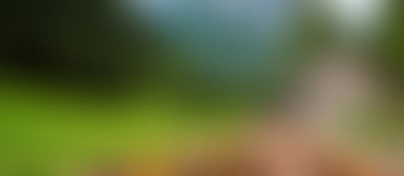 Once upon a time, in a semi-rural county in Western Washington...