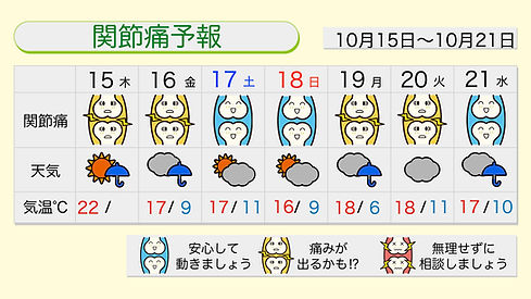 12376 (2).jpeg