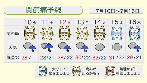 12376 (2).jpeg