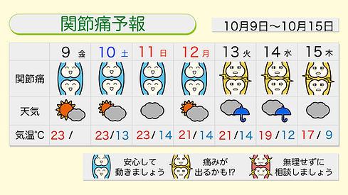 12376 (2).jpeg