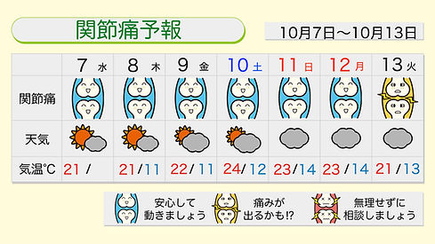 12376 (2).jpeg