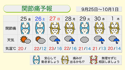 12376 (2).jpeg