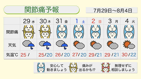 12376 (2).jpeg