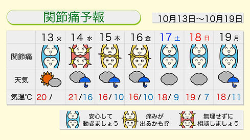 12376 (2).jpeg