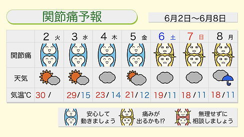 12376 (2).jpeg