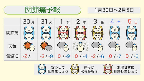 12376 (2).jpeg