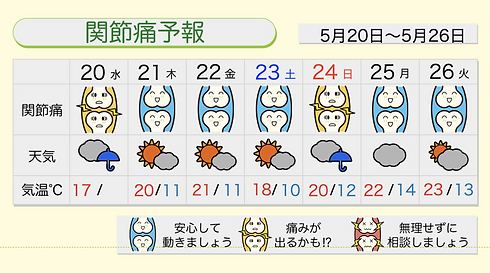 12376 (2).jpeg