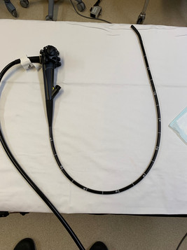 Gastroscope.jpeg
