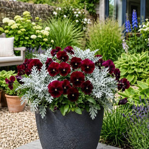 Patio Designs