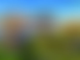 Shadows Over the Deep: Understanding Animal Suffering Through a Biblical Lens