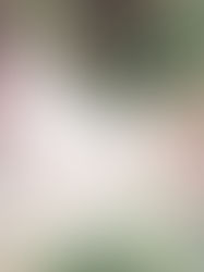 布鲁克林植物园婚礼