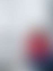 New York Harbor Sailing Marriage proposal