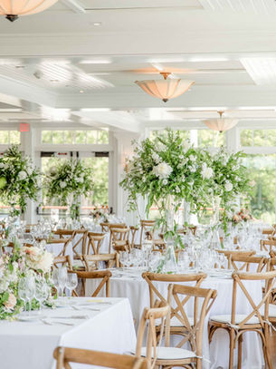 绿植为主的清新自然