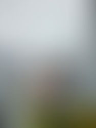 Marriage proposal on city landscape background