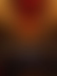 Christmas Gala活动策划