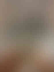 Florist by Floraland New York