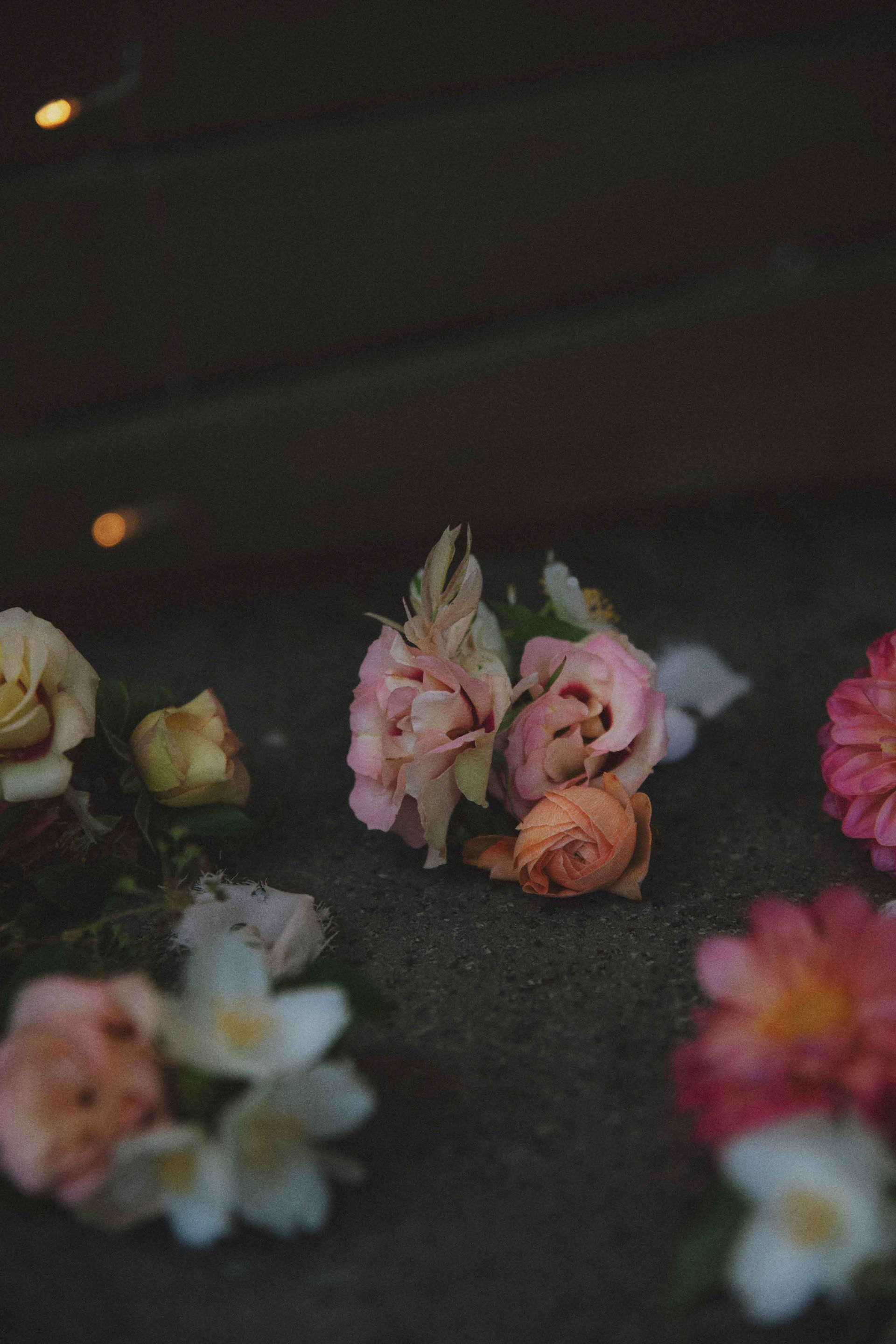 Chinese peony 
