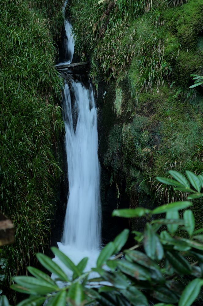 A photo of a two-tiered waterfall flowing through a narrow path in green vegetation.