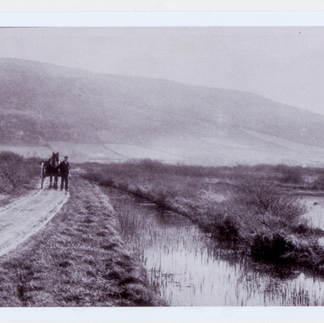 Horse and cart travelling over marshy land.
