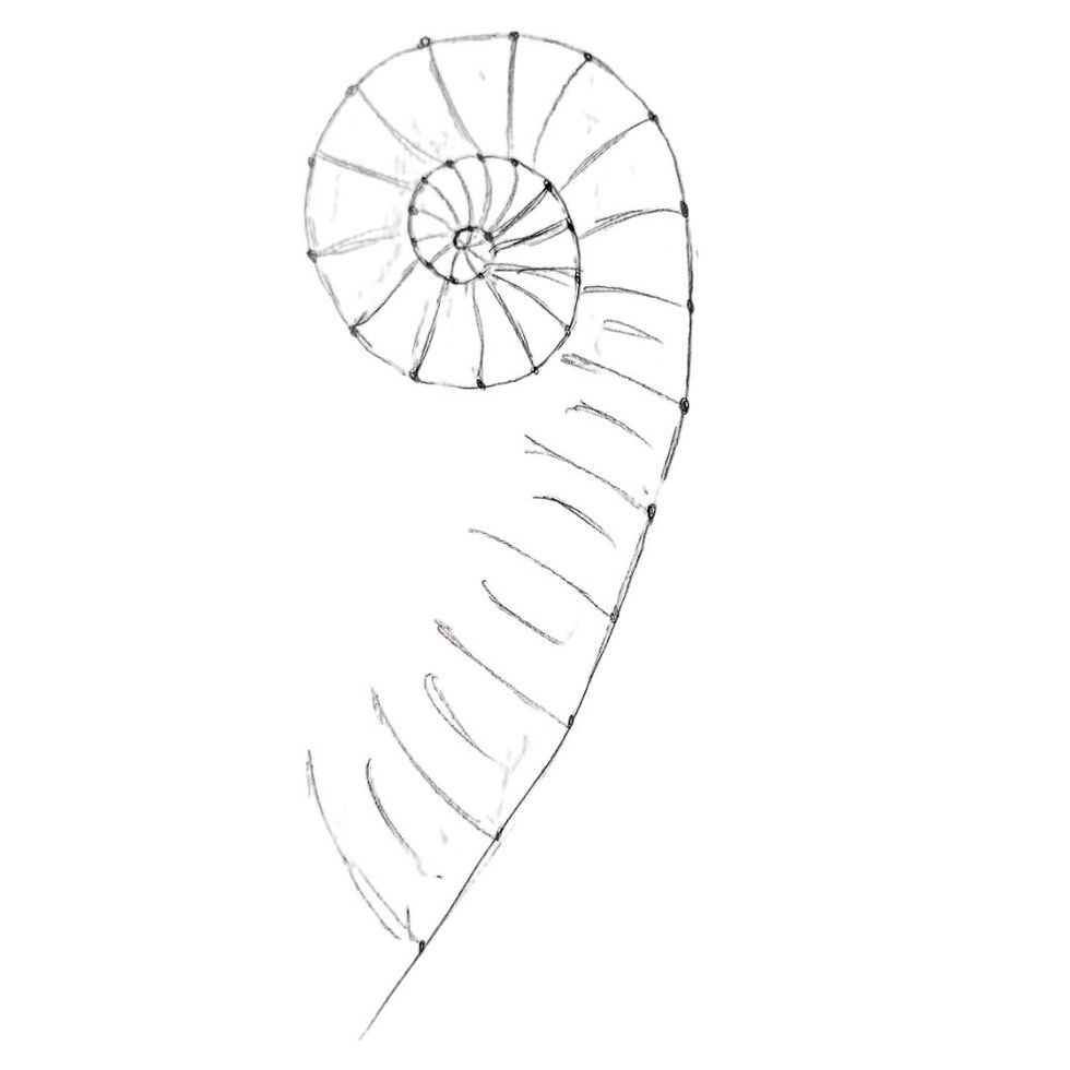 Line drawing spiral with dots and lines
