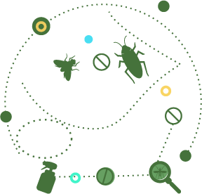 fundo-verde-escuro.png