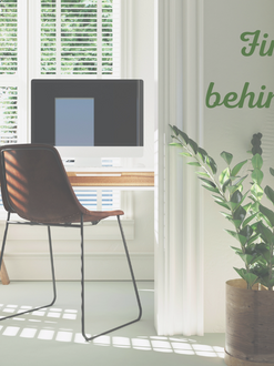How to Cultivate Peace at Your Desk