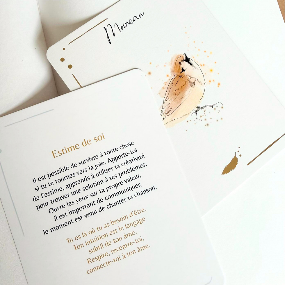 Miniature : Cartes de l'intuition - Messages des oiseaux