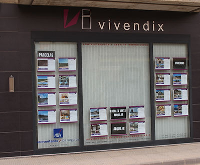 Vivendix.JPG