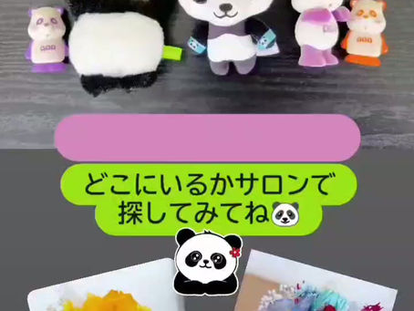 新メンバー登場