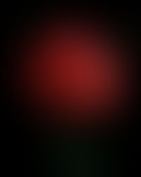 Painting with light in the garden at night and wondering what the neighbors are thinking.