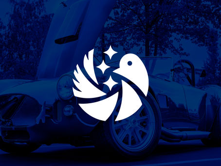 Starbird Photographic Takes Flight