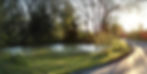 Pond