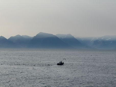 Sørøya: wo die Stille Geschichten erzählt