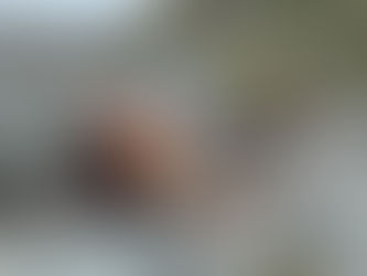 Ein bisschen Blau im Rost – die Geschichte der Sandra B
