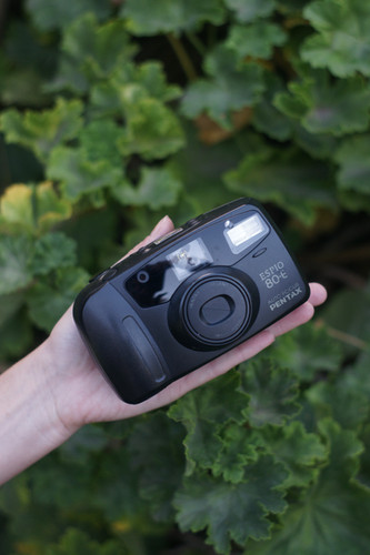 Pentax Espio 80E | hánimastudio