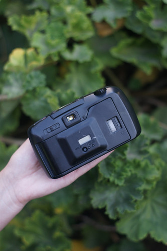 Pentax Espio 80E | hánimastudio