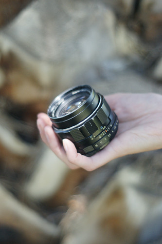 Pentax SMC 50mm f1.4 M42 | hánimastudio