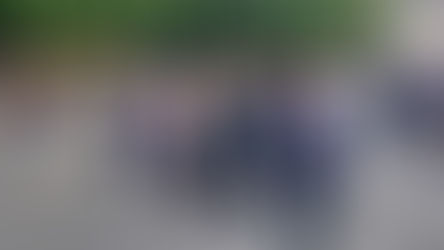 Cérémonies et festivités du 14 juillet