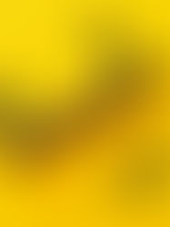 stick man running up a pen, words "just keep going" with yellow back ground