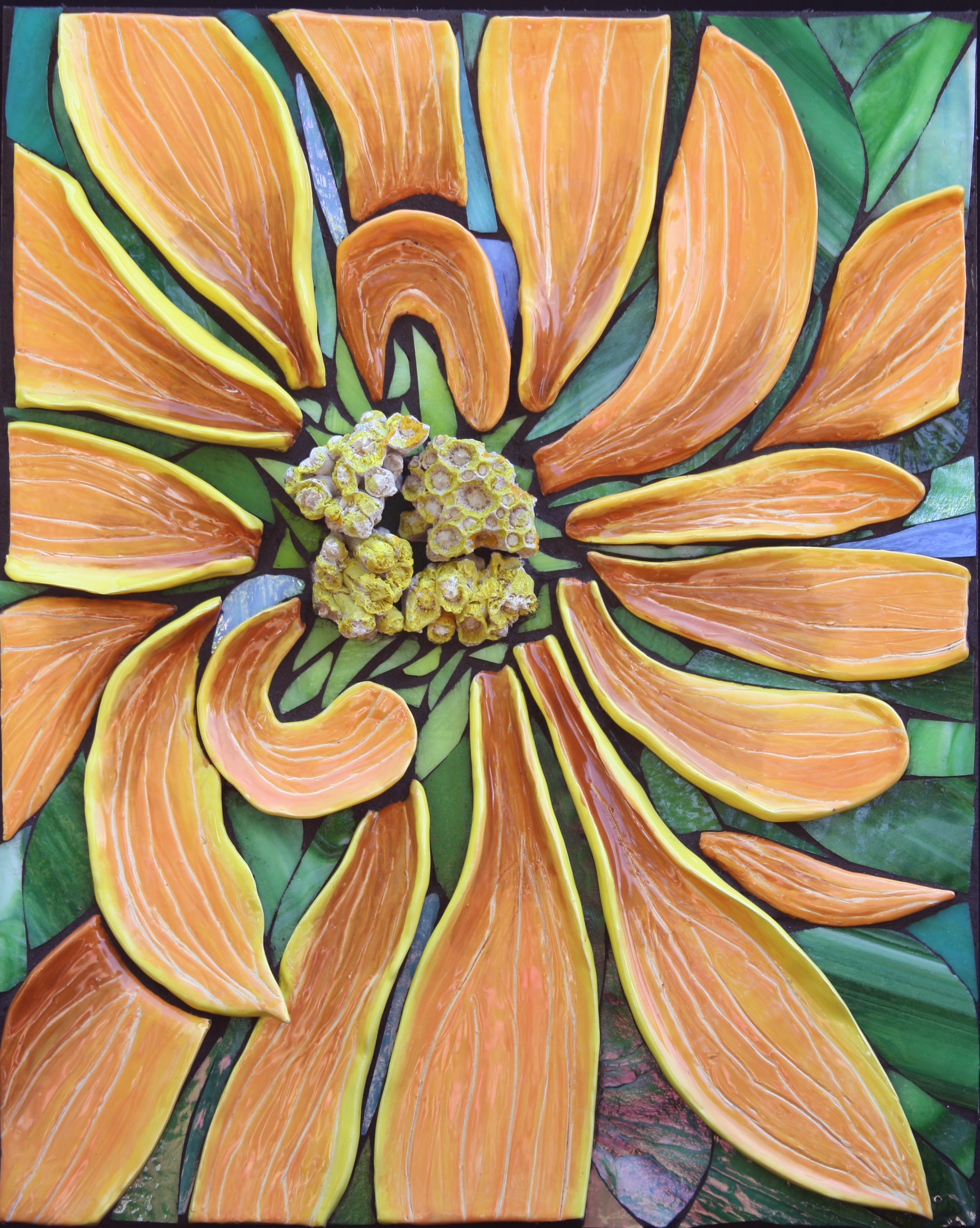 Chrysanthemum $900