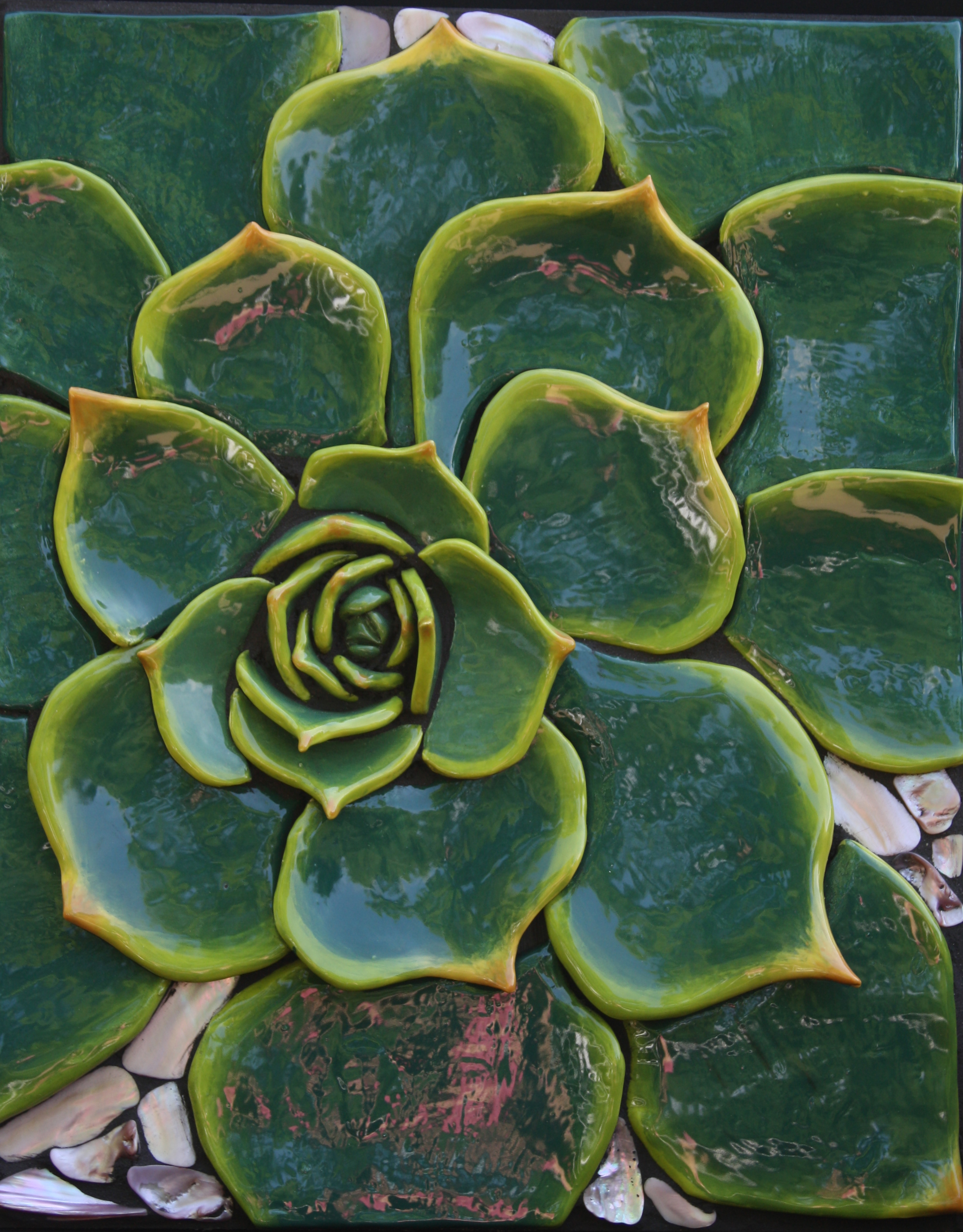 Sedum $900