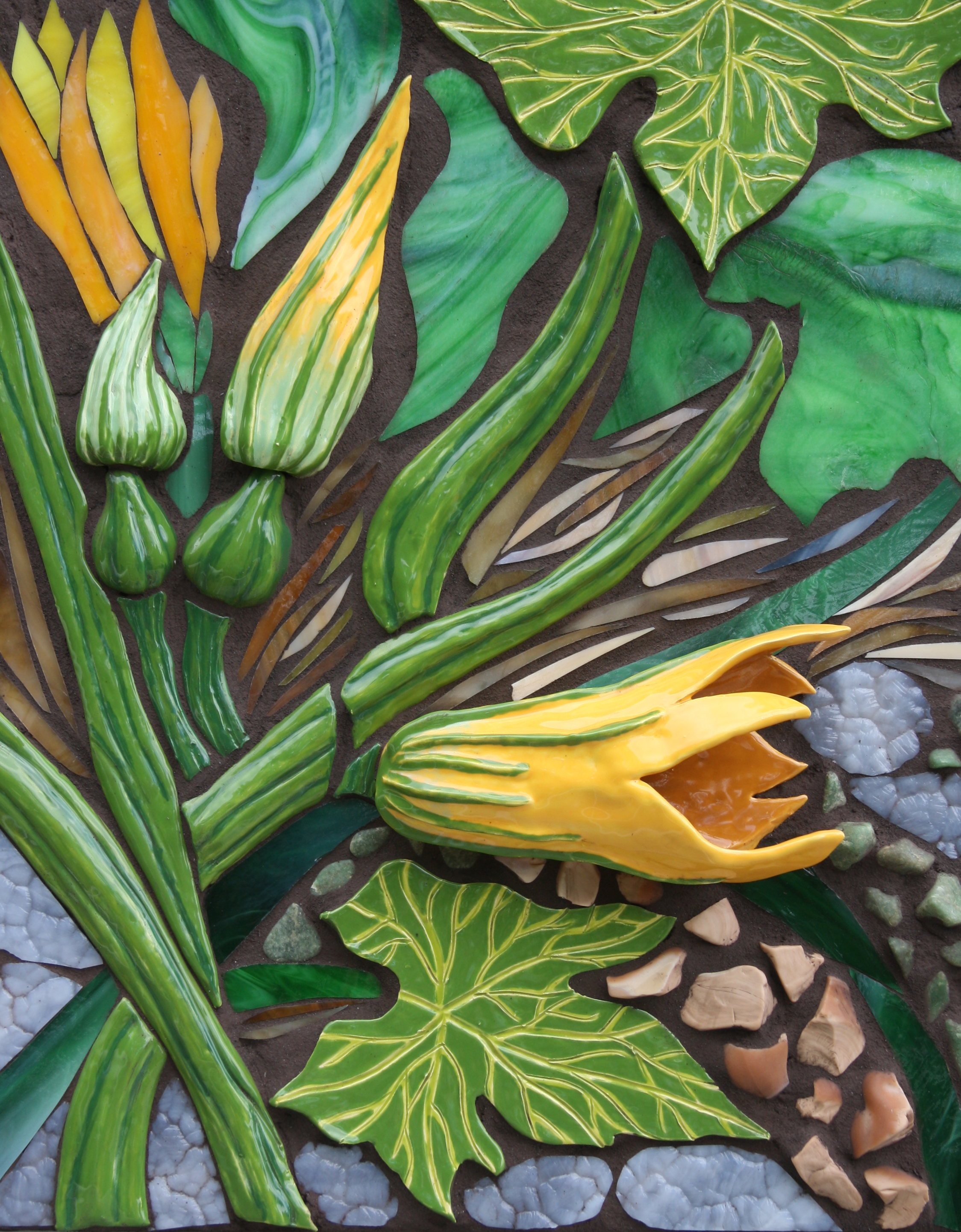 Squash Plant $900