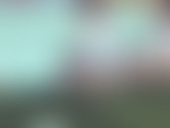 A Letter From Shanghai